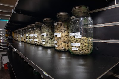 Planted Provisioning- Bay City