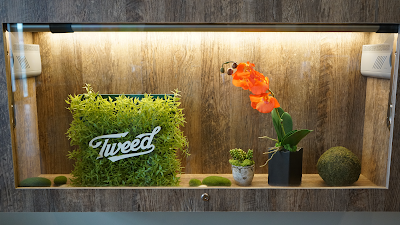 Plantlife Cannabis Airdrie