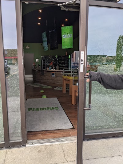 Plantlife Cannabis Albany Edmonton