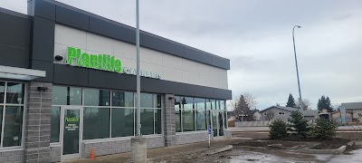 Plantlife Cannabis Grande Prairie Cobblestone