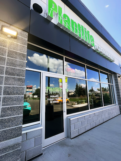 Plantlife Cannabis Grande Prairie Cobblestone