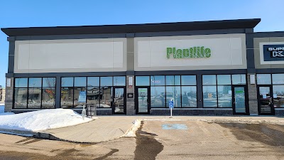 Plantlife Cannabis Grande Prairie Westgate