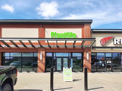 Plantlife Cannabis Terra Losa Edmonton
