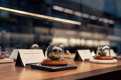 Pleasantrees Cannabis Dispensary Lincoln Park