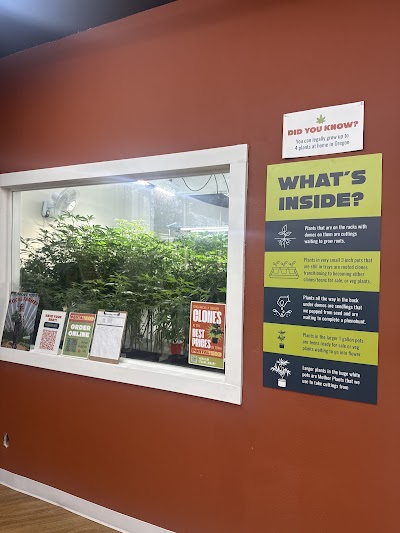 Portal 503 - Portal Cannabis Dispensary