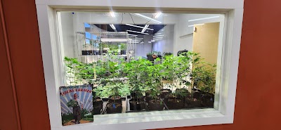 Portal 503 - Portal Cannabis Dispensary