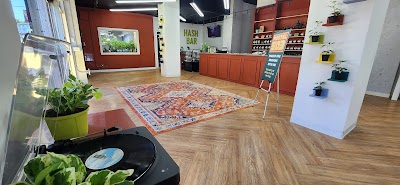 Portal 503 - Portal Cannabis Dispensary