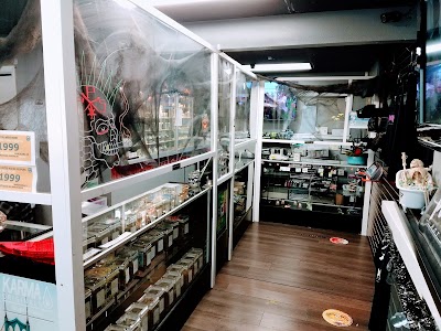 Portland Pot Shop