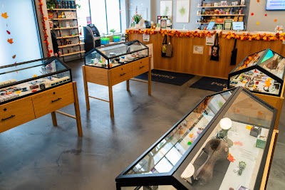 Potency: Pittsfield Recreational Cannabis Dispensary MA