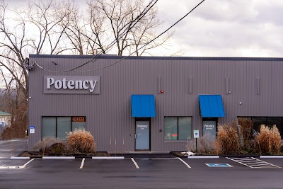 Potency: Pittsfield Recreational Cannabis Dispensary MA