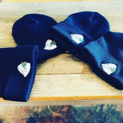 Power Plant Dispensary