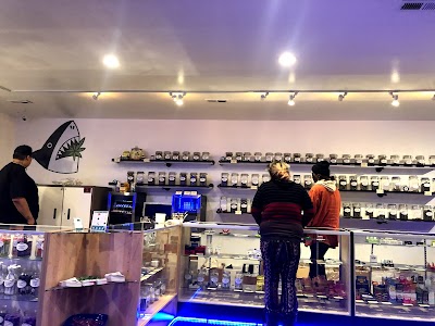 Power Plant Dispensary