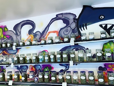 Power Plant Dispensary