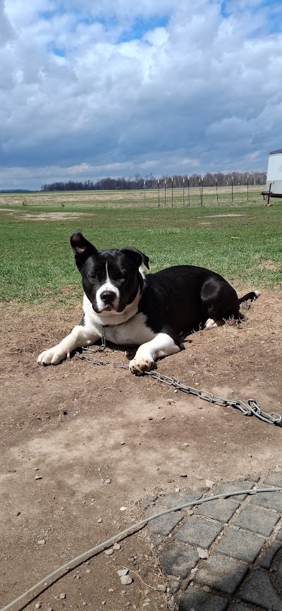 Premier Cannabis - Caro