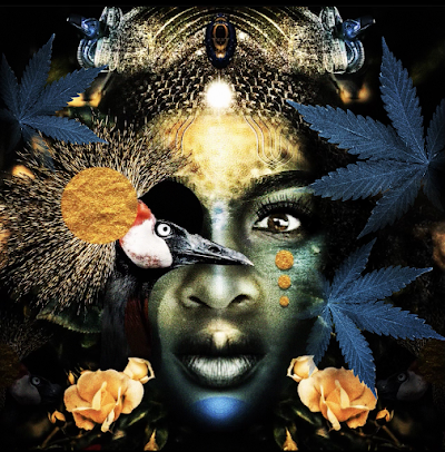 Proud Mary Cannabis