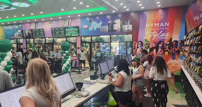 PUFF Cannabis New Buffalo Dispensary