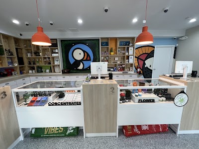 Puffin Store NJ