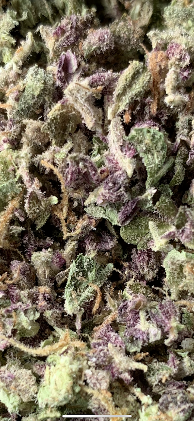 Pure Dakota Health of Fargo