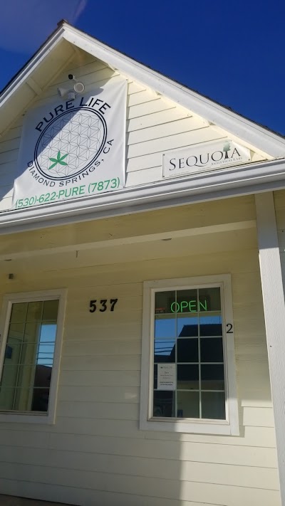 Pure Life Collective