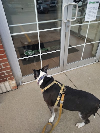 Pure Ohio Wellness - Tallmadge