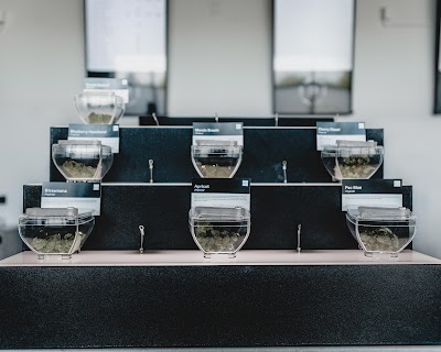 Pure Options Mt Pleasant