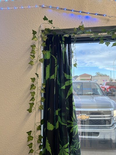 PurLife Dispensary Bernalillo