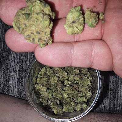 PurLife Dispensary Clovis