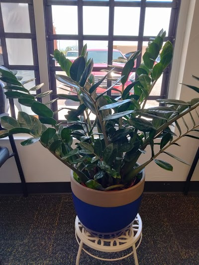 PurLife Dispensary Rio Rancho