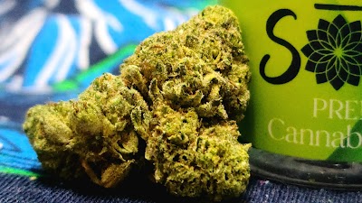 PurLife Dispensary - T or C