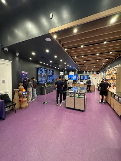 Purple Lotus Downtown San Jose Dispensary