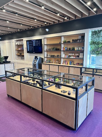 Purple Lotus Downtown San Jose Dispensary