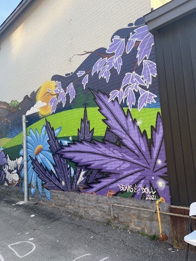 Purple Meadow Cannabis - Downtown Ottawa