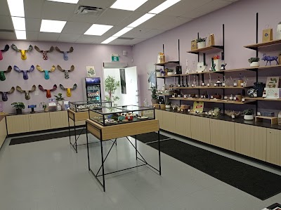 Purple Moose Weed Store Oshawa
