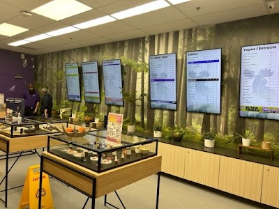 Purple Moose Weed Store Oshawa