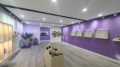 Purple Tree Cannabis - Mississauga Dispensary