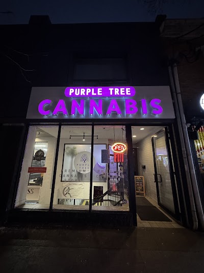 Purple Tree Cannabis - Toronto Dispensary