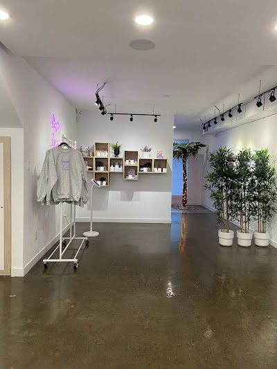 Purple Tree Cannabis - Toronto Dispensary