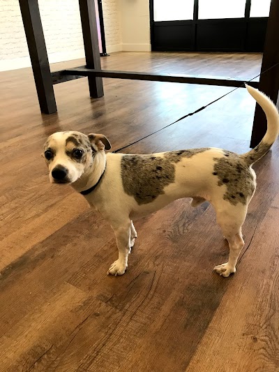 RARE Cannabis Co. | Airdrie Weed Dispensary