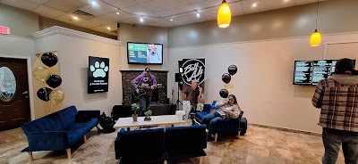 Raven's Joint | A Cannabis Company | Clay | Liverpool | Syracuse |