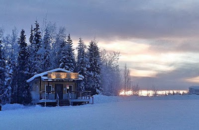 Rebel Roots Gold Stream