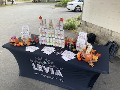 REBELLE: Great Barrington Cannabis Dispensary