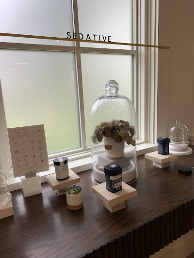 REBELLE: Great Barrington Cannabis Dispensary