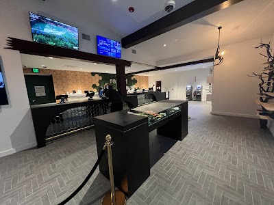 reLeaf Alternative - Natick