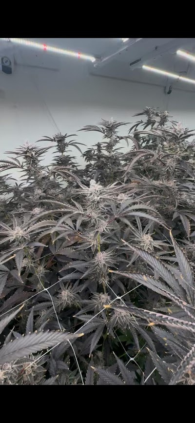 ReMaine Humble Farms Medical Weed Dispensary