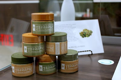 Restore Dispensaries Elkins Park