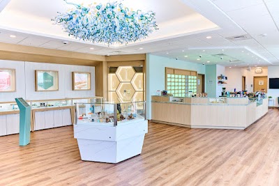 Reverie 73 Gloucester