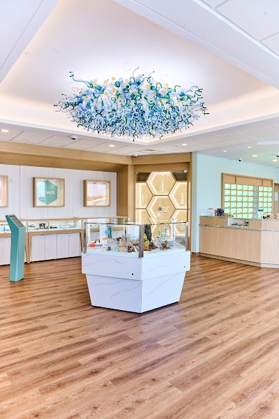 Reverie 73 Gloucester