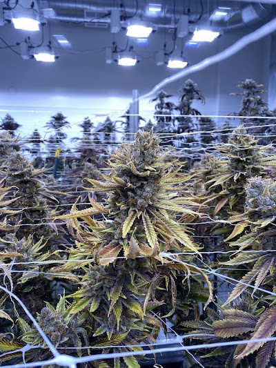 R.Greenleaf Las Cruces