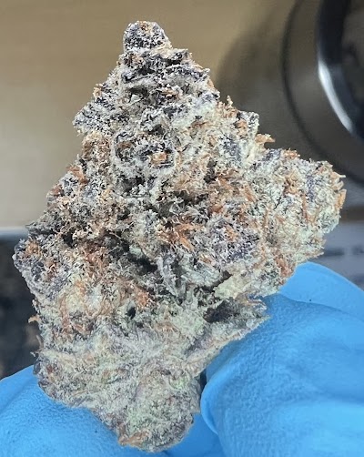 Ridankulous Alamogordo - Cannabis Dispensary