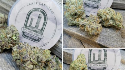 Rio Vista Farms Dispensary
